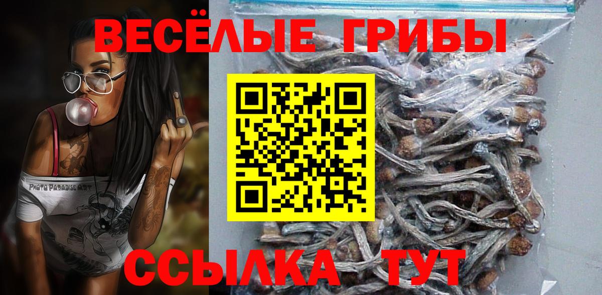 Назарово  Галлюциногенные грибы прущие грибы  Вход с VPN  Псилоцибиновые грибы мицелий 