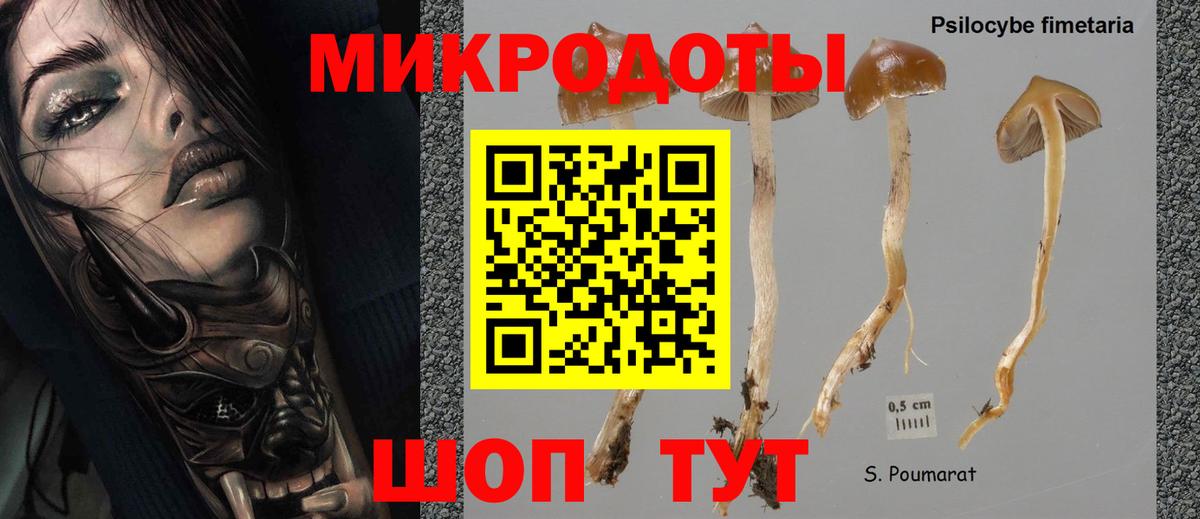 Галлюциногенные грибы Magic Shrooms Назарово